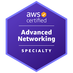 ANS-C01 AWS Certified Advanced Networking - Specialty 
